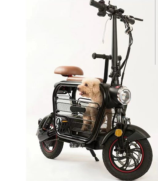 Double Electric Bike